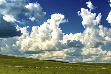 田园的风景作文（《童年的风景》）