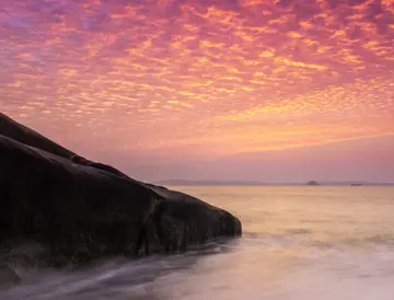 我的风景作文（《迷人的风景》）