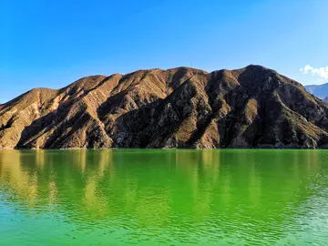 描写夏天的风景的作文（《家乡的风景》）