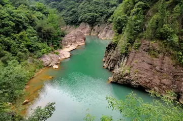 描写夏天的风景的作文（《家乡的风景》）