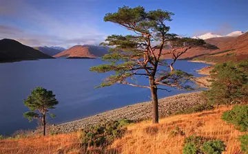 迷人的乡村风景作文（《迷人的风景》）