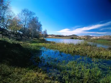 迷人的乡村风景作文（《别样的风景》）