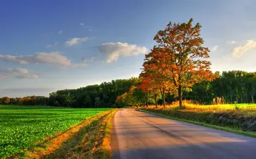 乡下的风景作文（《家乡的风景》）