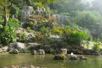 消逝的风景作文（《家乡的风景》）