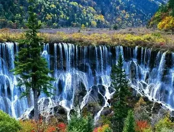 难忘的教师节作文（《难忘的风景》）