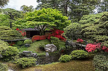 难忘的元宵节作文（《难忘的风景》）