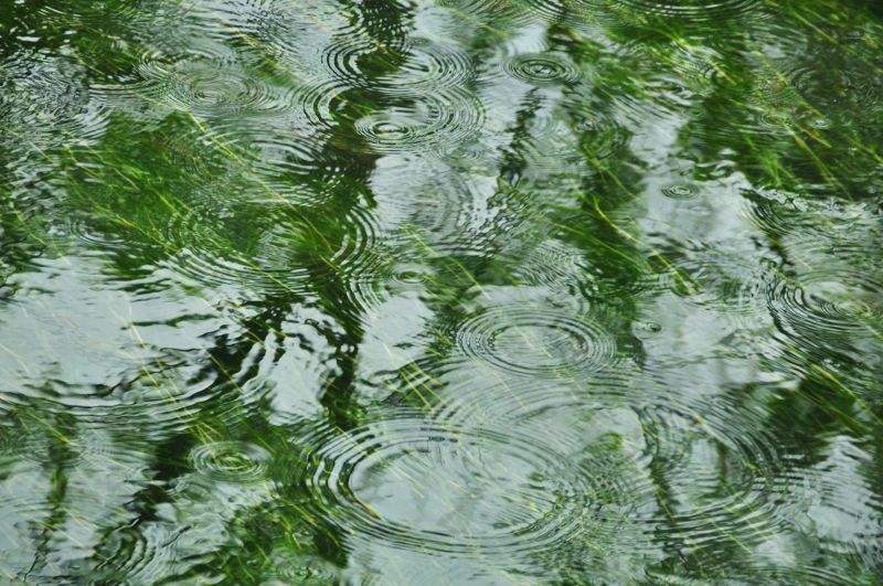 听雨诗词古句大全鉴赏（听雨诗词27首）