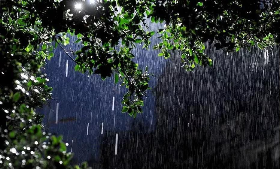 听雨诗词古句大全鉴赏（听雨诗词27首）