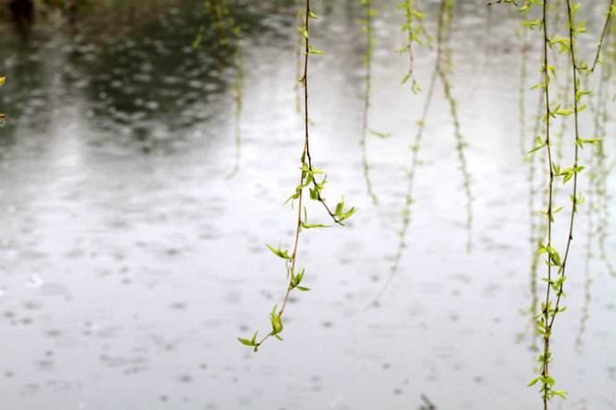 听雨诗词古句大全鉴赏（听雨诗词27首）