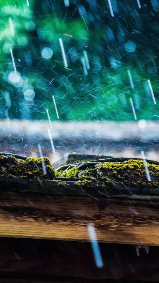 关于听雨的唯美诗词古句（十首听雨诗词）