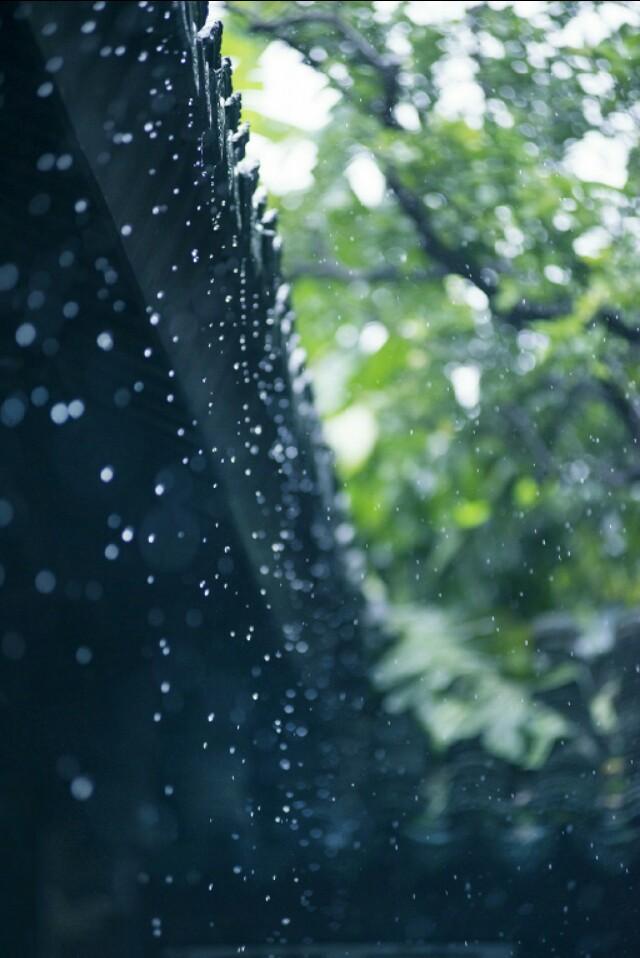 听雨诗词古句摘抄（关于听雨的诗词）