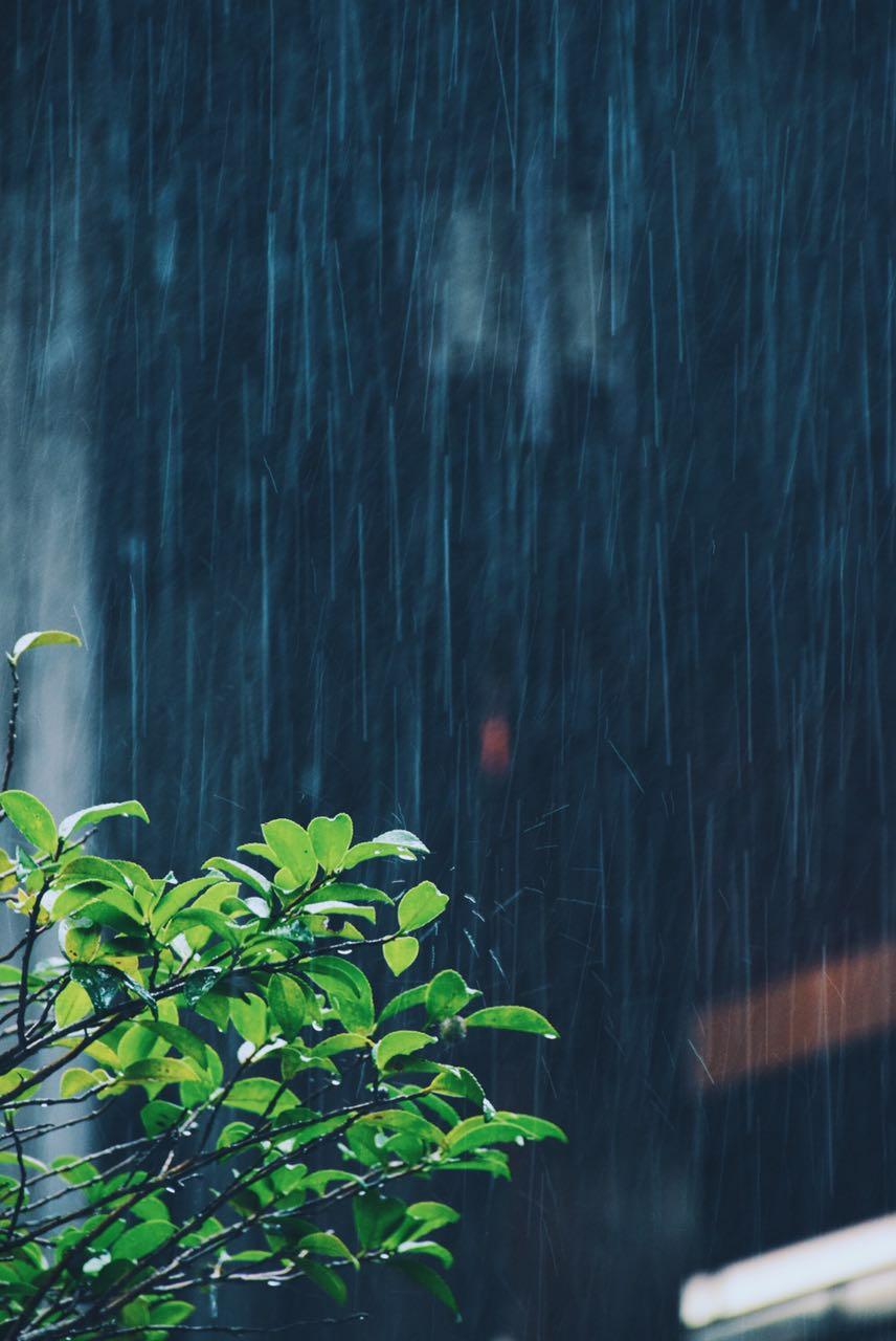 听雨诗词古句摘抄（关于听雨的诗词）