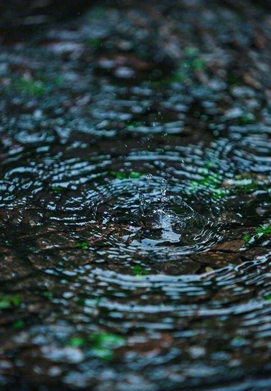 听雨诗词古句摘抄（关于听雨的诗词）