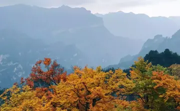 最美的季节作文600字范文（浓浓的秋意）