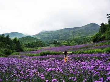 夏天真快乐作文范文（快乐一辈子）