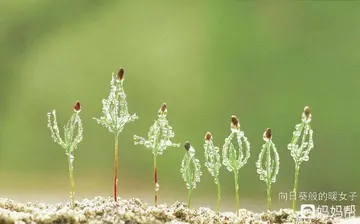 我身边的人作文600字（值得尊敬的人）