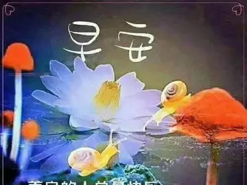 我快乐的一天作文600字（不一样的快乐）