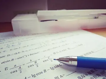 我眼中的数学600字作文（数学的乐趣）