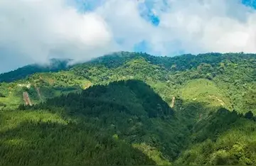 分享幸福的优秀作文（《幸福的话题》）