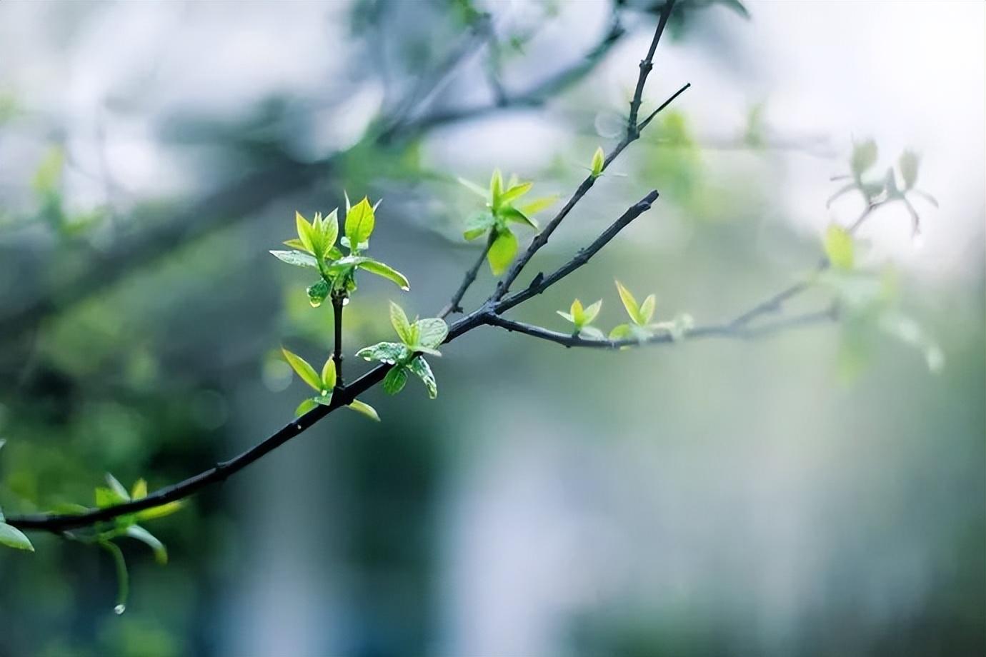 关于经典励志诗词大全100首（十首古诗致青春）