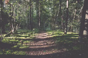 端午节的叙事作文（《端午节的故事》）