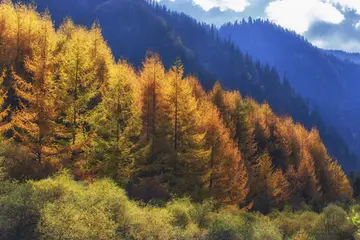 人生的道路作文（《感叹人生》）