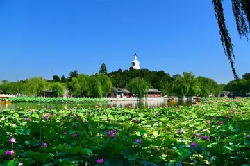 童年的话题作文（《童年的味道》）