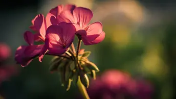 感恩教师节的作文（《感恩朋友》）