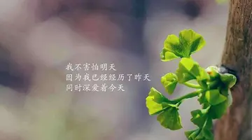 成长的经历作文600字范文（成长的真谛）