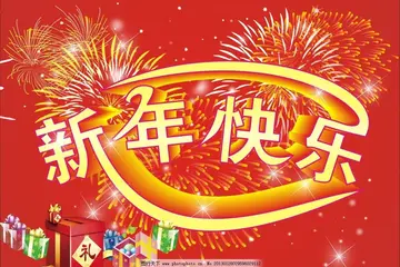 我们的快乐新年作文（瑰丽无比的烟花）