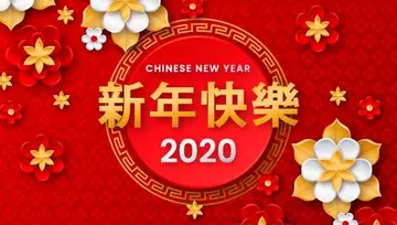 我们的快乐新年作文（瑰丽无比的烟花）