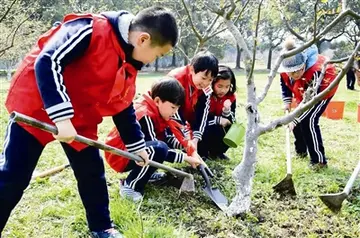 感受植树的快乐作文优秀（美化我们的家园）