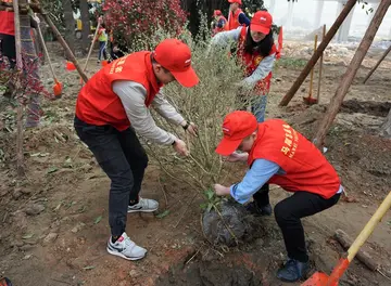 感受植树的快乐作文优秀（让青春无悔）