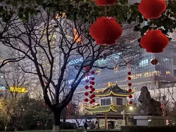 除夕夜的快乐时光作文（最幸福的夜晚）