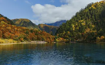 春天的味道优秀作文（《迷人的春天》）