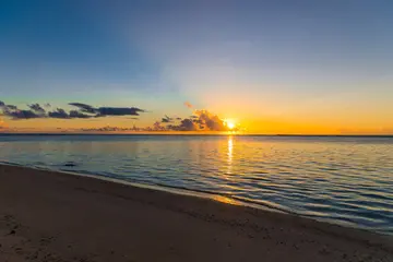 春天的夜晚作文（《春天的故事》）