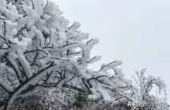 古代跟腊八节有关的诗词（唯美腊八古诗名句赏析）