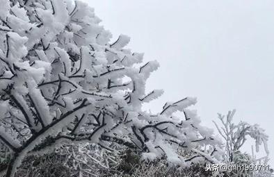 古代跟腊八节有关的诗词（唯美腊八古诗名句赏析）