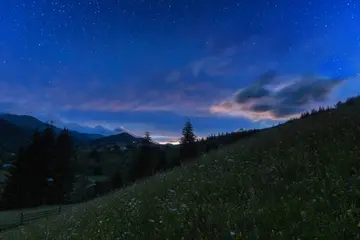 难忘的夜晚作文（《迷人的夜晚》）