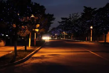 秋天的夜晚作文（《夜晚的风景》）