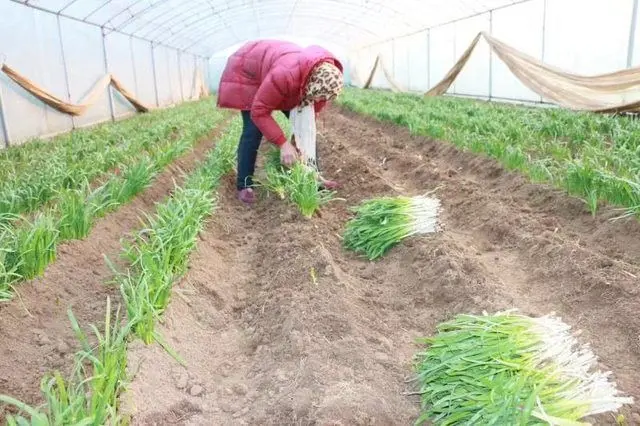 生活需要作文600字范文（充满温情）