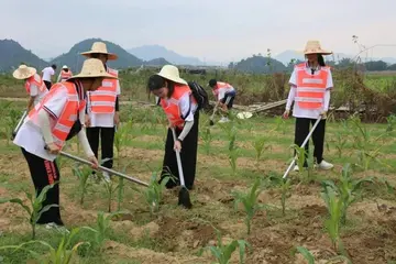 感受快乐的劳动时光作文（劳动的节日）