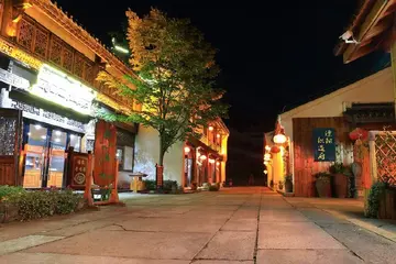 中秋的夜晚优秀作文（《故乡的夜晚》）