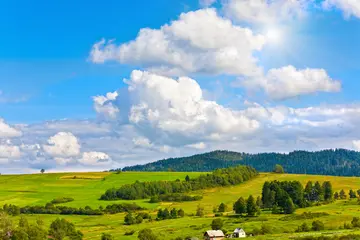 夏天的池塘作文（《夏天的风景》）