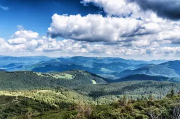 感受夏天的作文（《夏天的风景》）