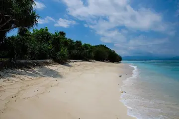 可爱的夏天作文（《夏天的风景》）