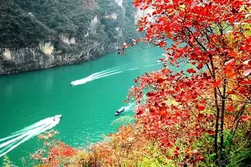 夏天的雷雨作文（《欢乐的夏天》）