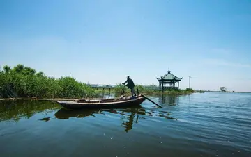 美丽的夏天作文（《夏天的乐趣》）