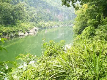 描写夏天的作文（《夏天的风景》）