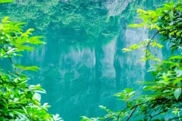 夏天的声音作文（《夏天的风景》）